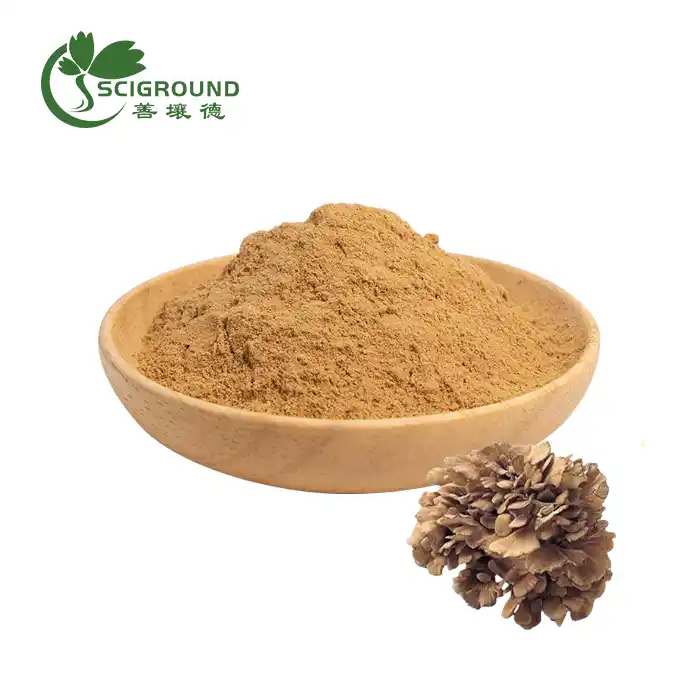 Maitake Extract Powder